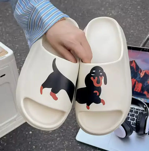 Dachshund Slides