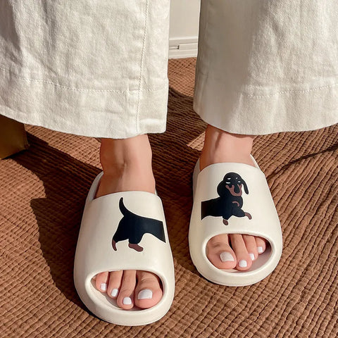 Dachshund Slides