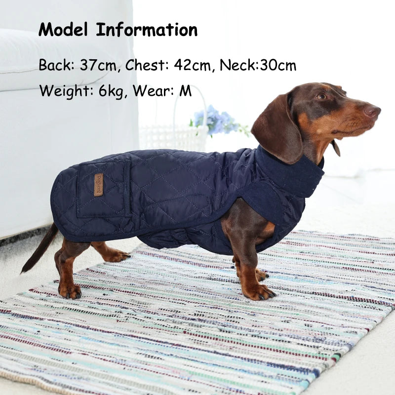 Quilted Wiener Dog Coat