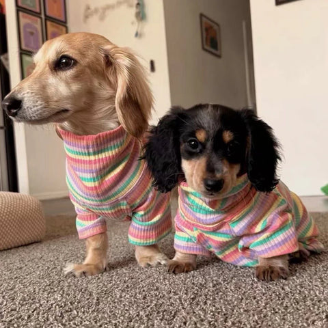Rainbow Dachshund Turtleneck