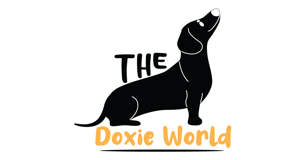 Dachshund clothing for sales adults