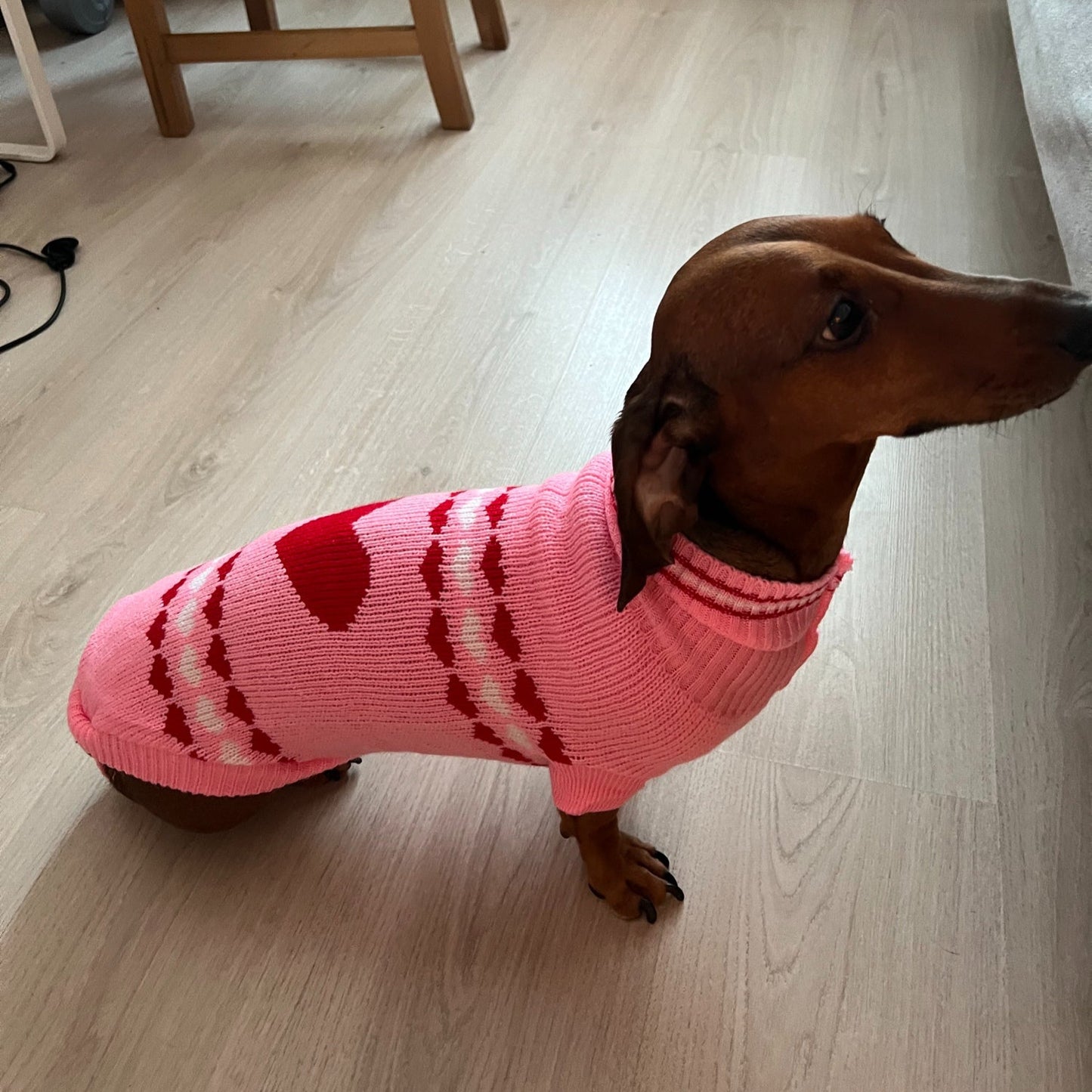 Pink Sweater for Wiener Dogs