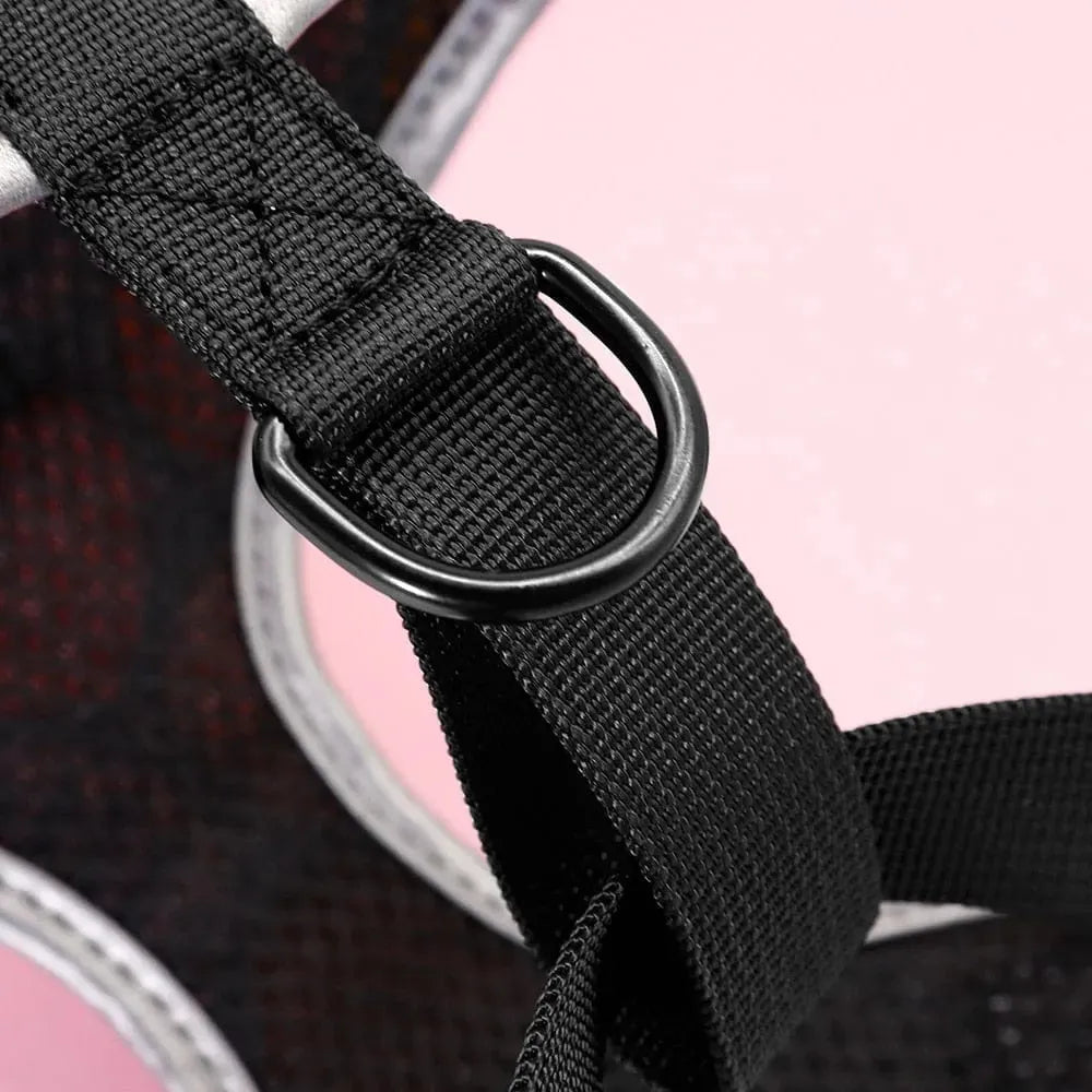 Colorful Dachshund Harness The Doxie World