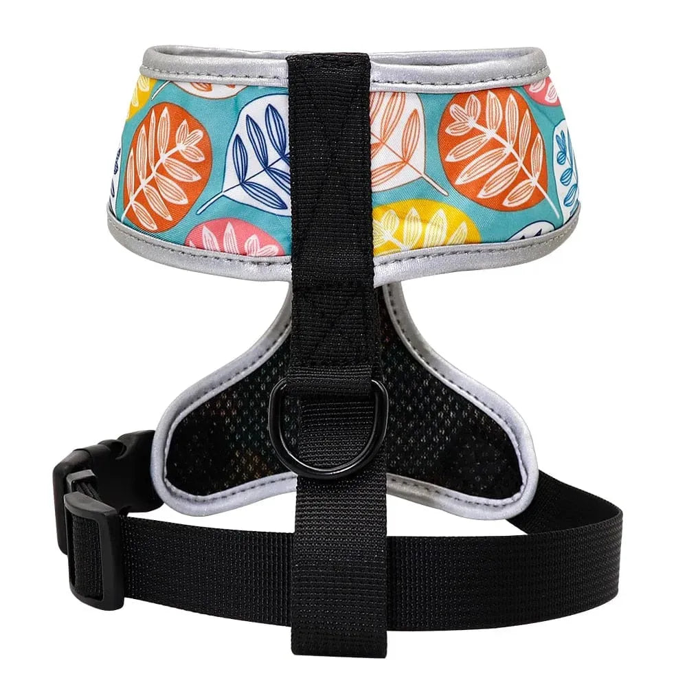 Colorful Dachshund Harness The Doxie World