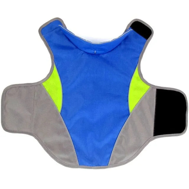 Cooper Waterproof Dachshund Jacket Blue / L thedoxieworld