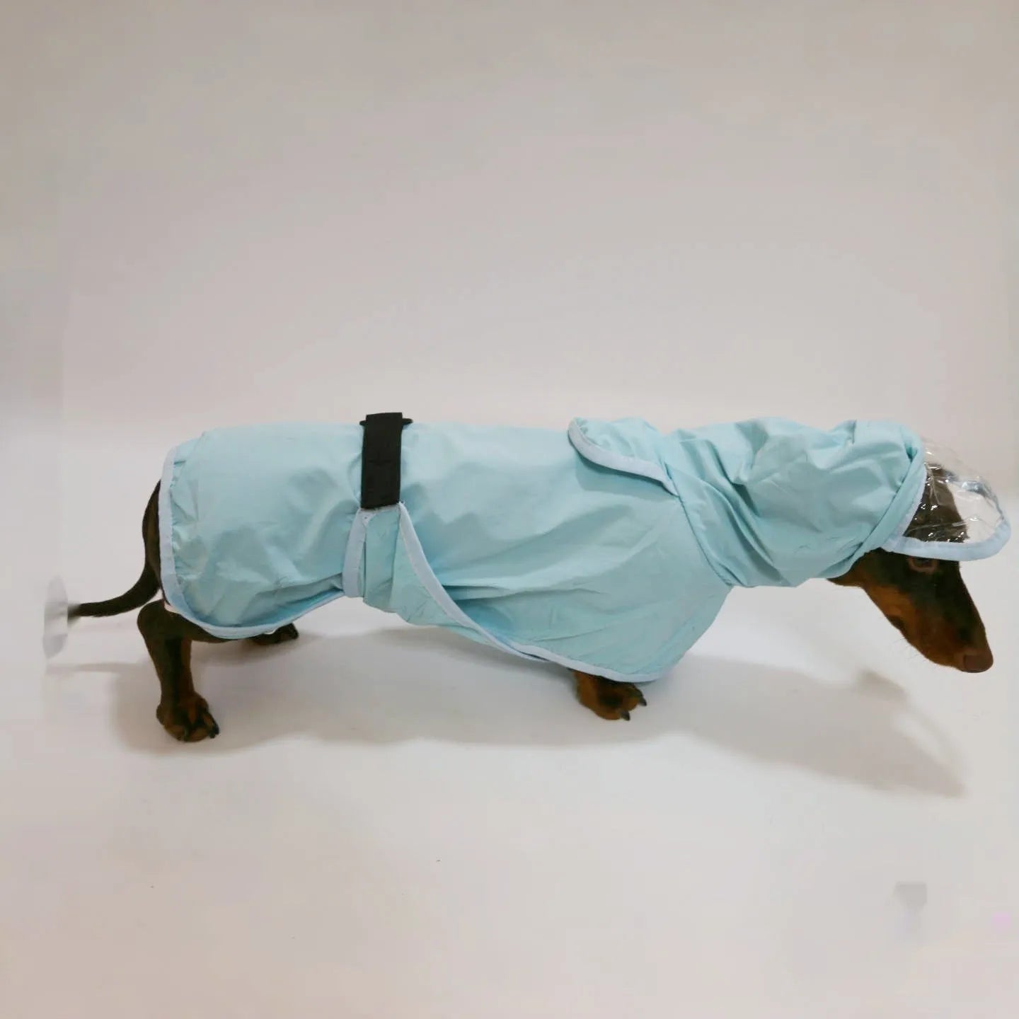 Blue Rain Dachshund Overall