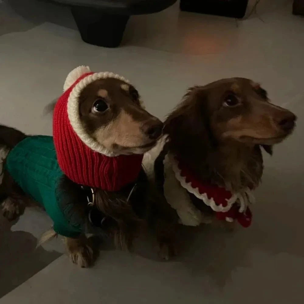 Dachshund Christmas Sweater and Hat The Doxie World