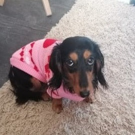Dachshund Christmas Sweater Pink Love / 6 The Doxie World