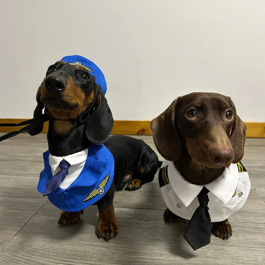 Dachshund Dog Pilot Costume The Doxie World