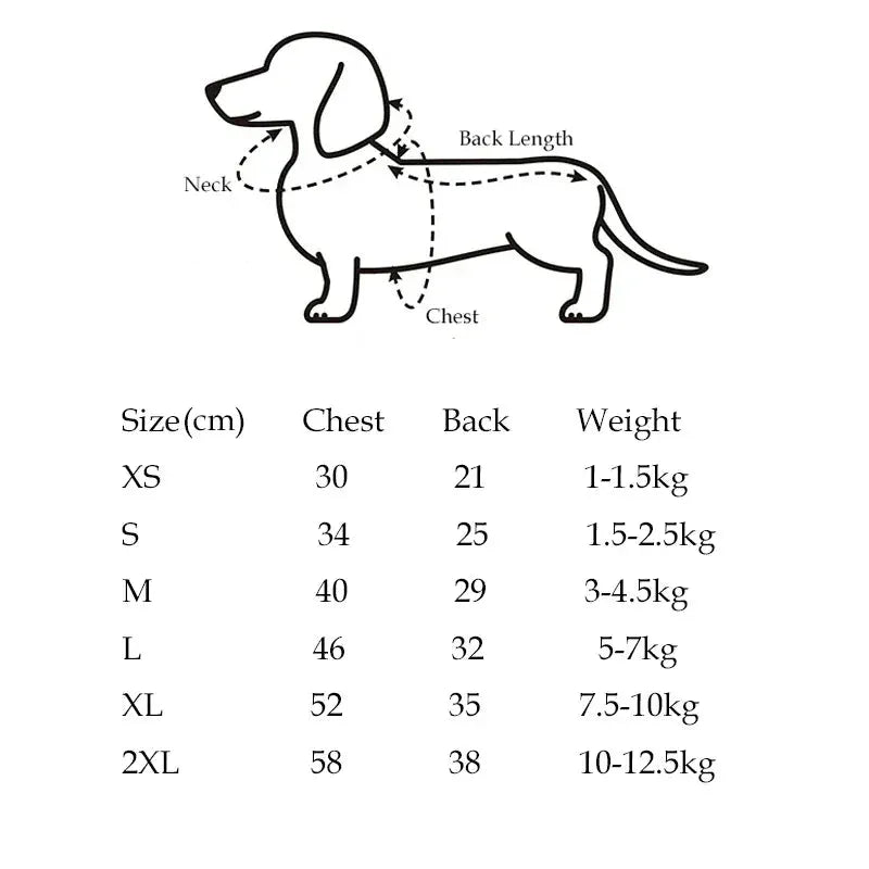 Dachshund Polo Sweater The Doxie World