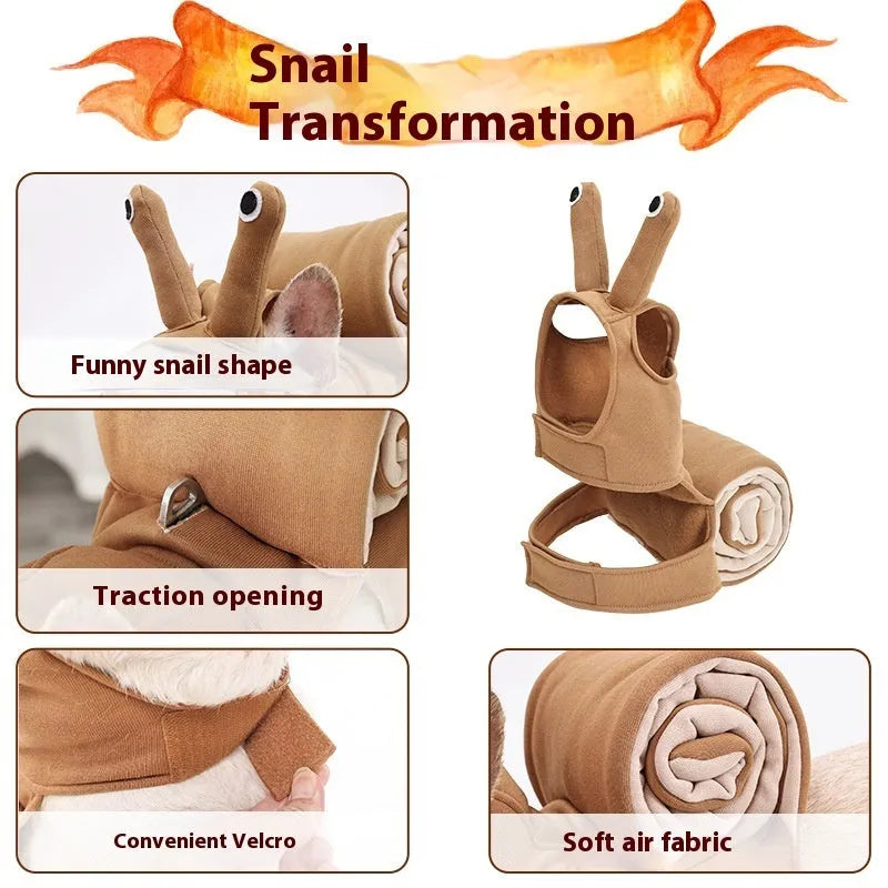 Dog Snail Halloween Costume The Doxie World
