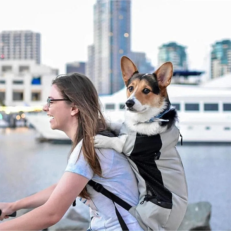 Dog Travel Backpack The Doxie World