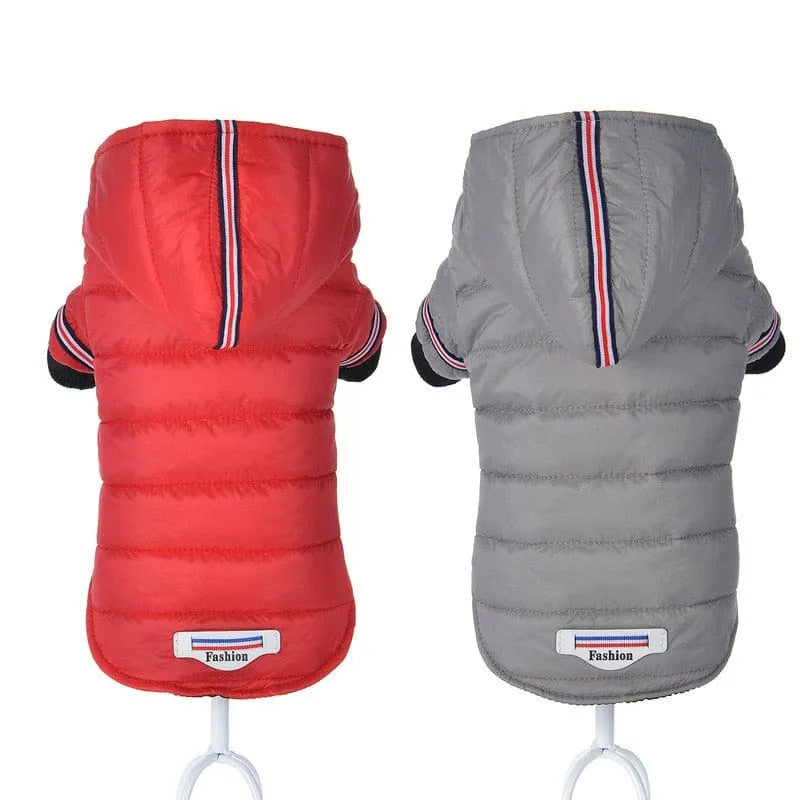 Fashion Puffer Dachshund Jacket The Doxie World