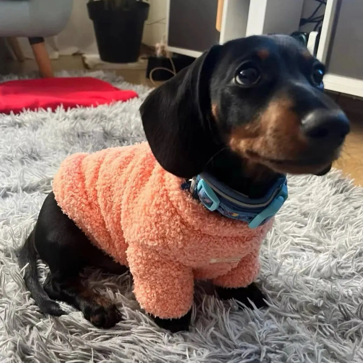 Fuzzy Dachshund Sweater