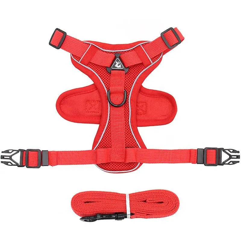 No-pull Dachshund Harness and Leash Red / S The Doxie World