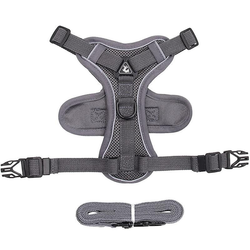 No-pull Dachshund Harness and Leash Gray / S The Doxie World