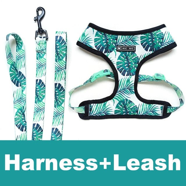 Palms Dachshund Harness and Leash Set The Doxie World