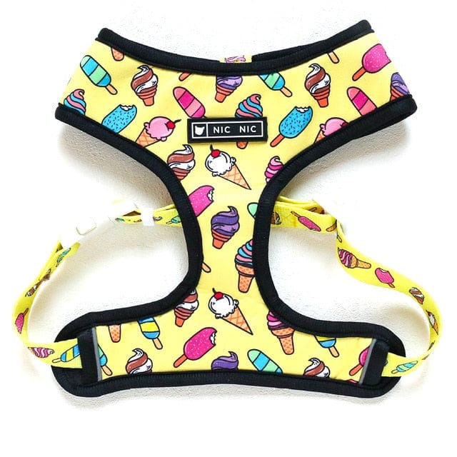 Palms Dachshund Harness and Leash Set Yellow harness / S The Doxie World