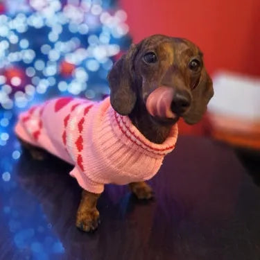 Pretty in Pink: Dachshund Sweater with a Bold Red Heart – The