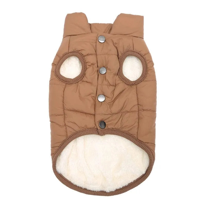 Puffer Dachshund Coat The Doxie World