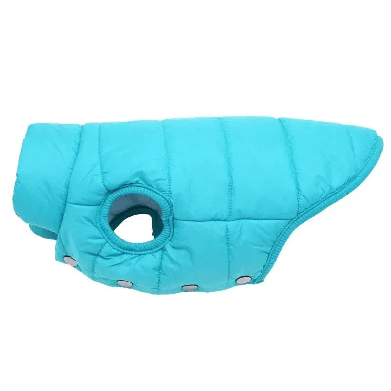 Puffer Dachshund Coat The Doxie World