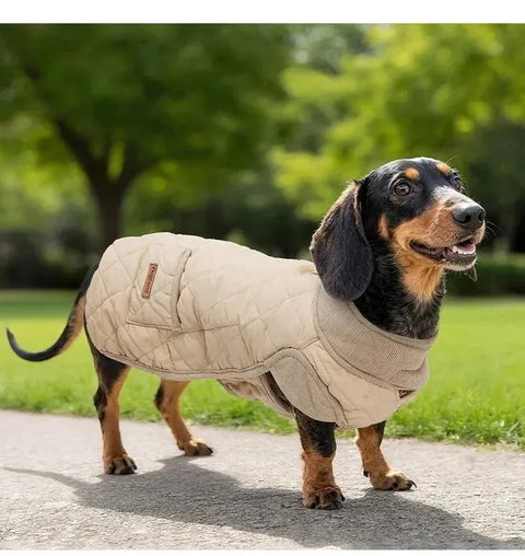 Quilted Wiener Dog Coat The Doxie World
