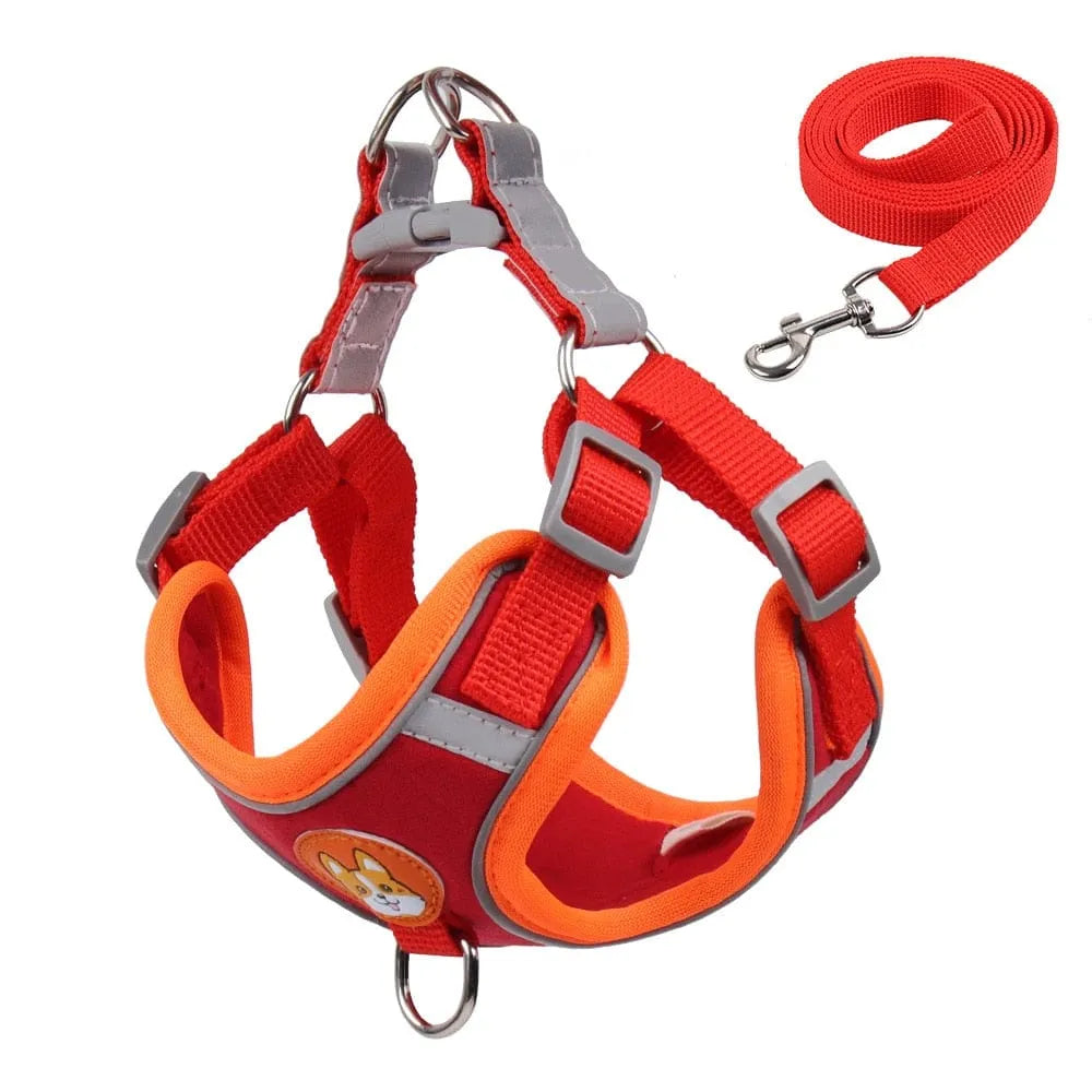 Reflective Dachshund Harness and Leash Set Red / S 2-3 kg The Doxie World