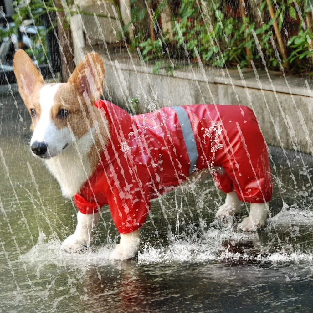 Reflective Dachshund Raincoat The Doxie World