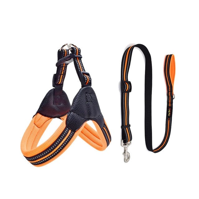 Reflective Dog Harness and Leash Set orange set / XS The Doxie World