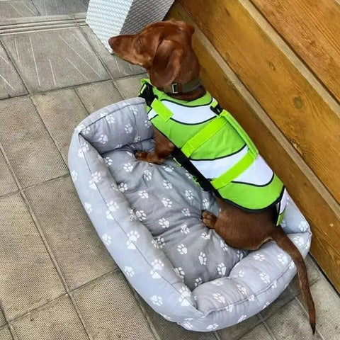 Sporty Dachshund Life Vest The Doxie World