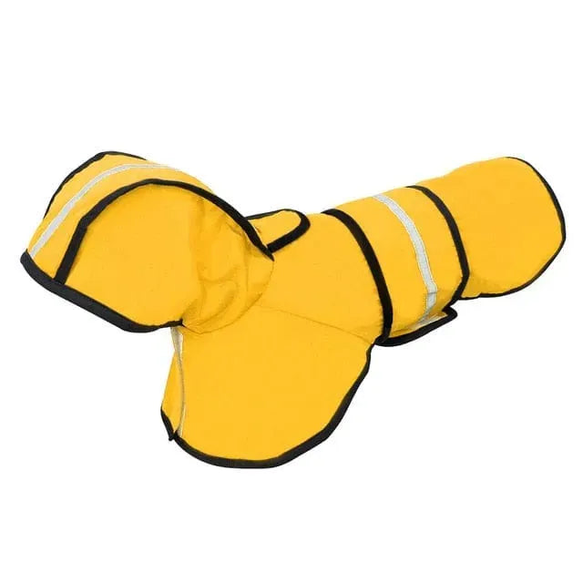 Sporty Dachshund Raincoat thedoxieworld
