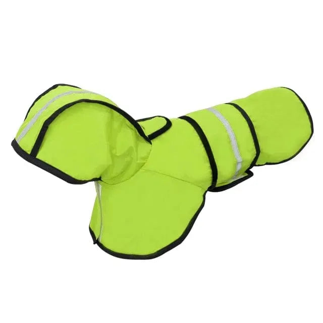 Sporty Dachshund Raincoat thedoxieworld