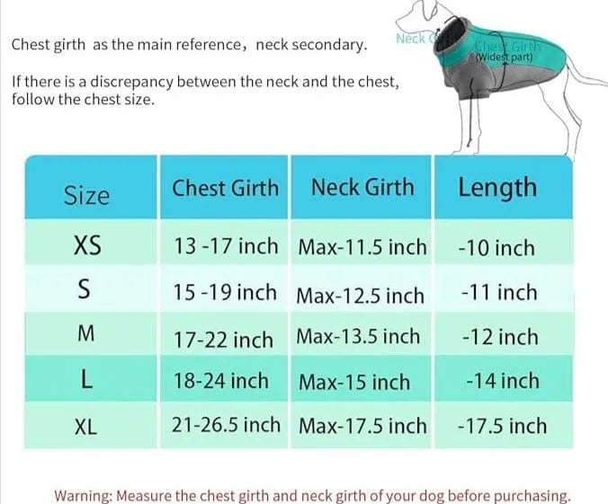 Stretch Dachshund Jacket thedoxieworld