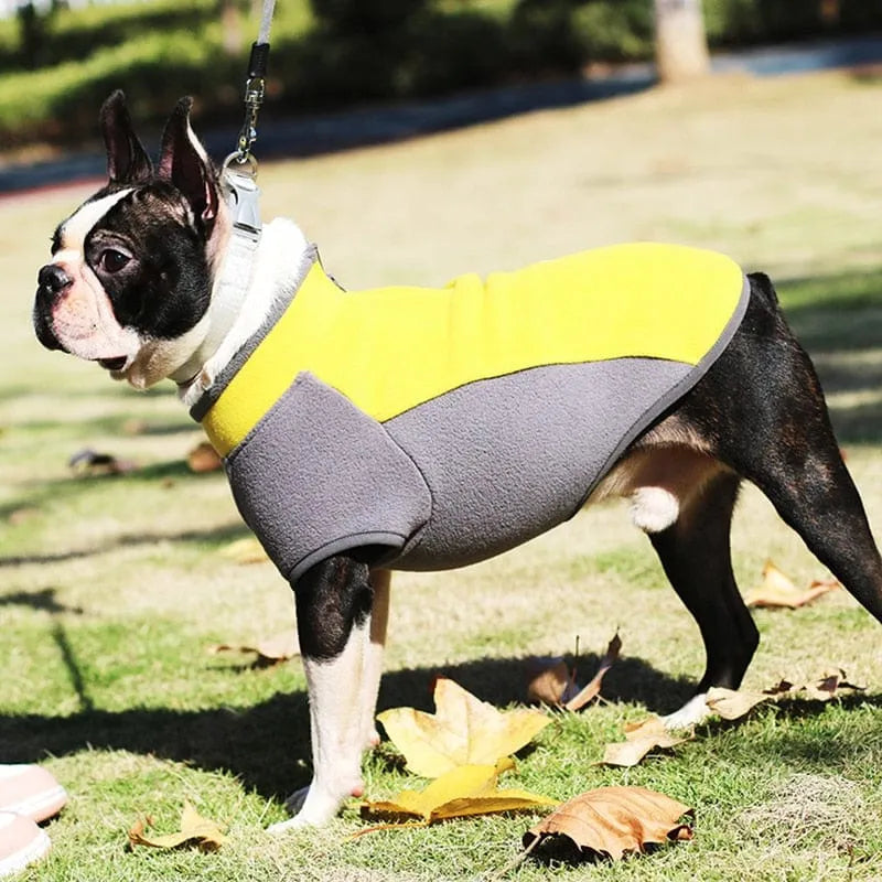 Stretch Dachshund Jacket thedoxieworld
