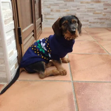 Navy Sausage Dog Sweater
