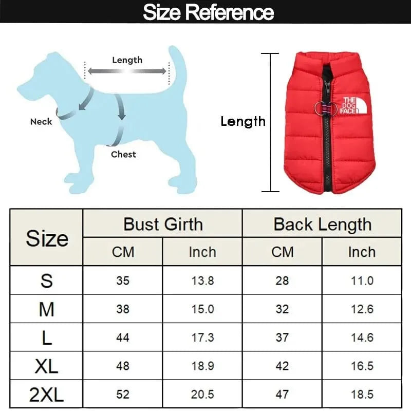 The Dog Face Dachshund Jacket The Doxie World
