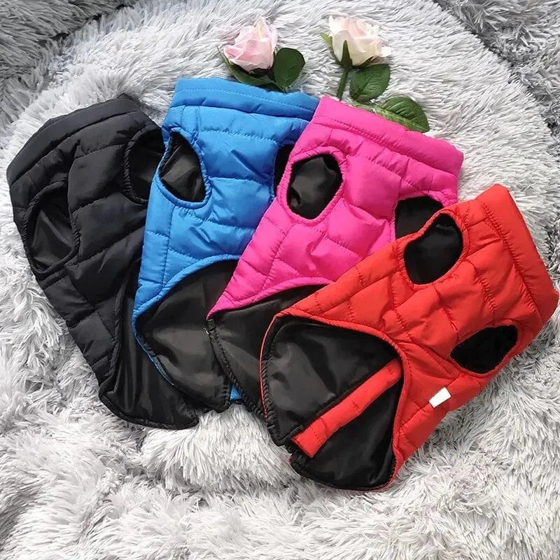 The Dog Face Dachshund Jacket The Doxie World