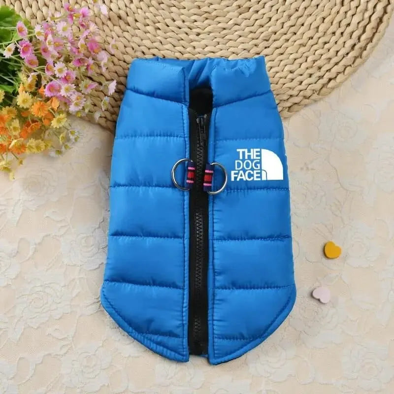 The Dog Face Dachshund Jacket 4 / S The Doxie World