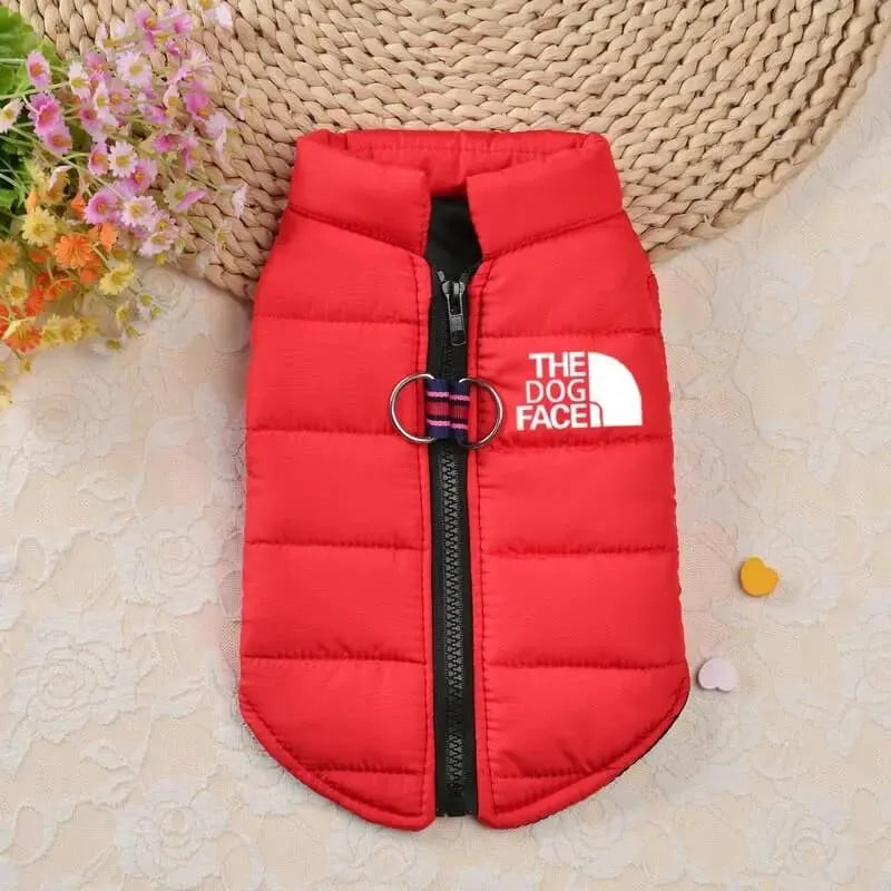 The Dog Face Jacket for Dachshund Red / S The Doxie World