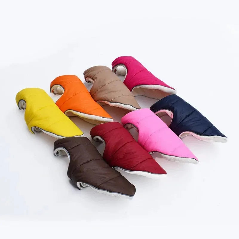 Tucker Dachshund Jacket thedoxieworld