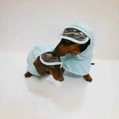 Blue Rain Dachshund Overall