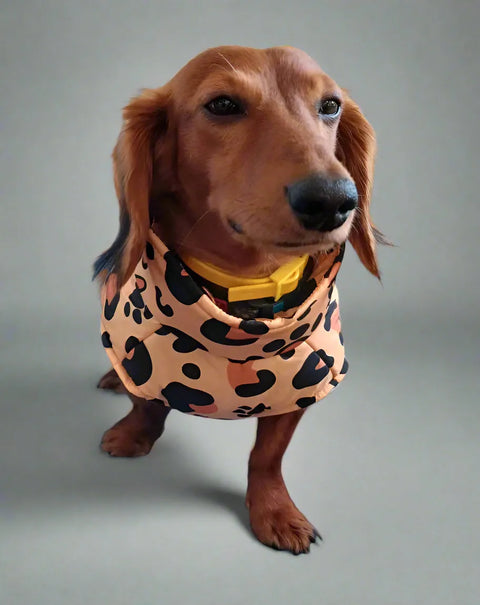 Leopard Wiener Dog Coat