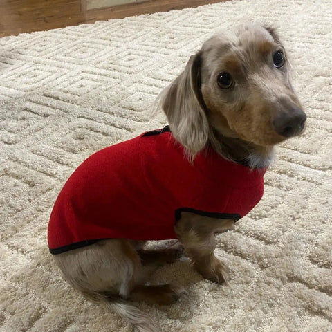 2-Color Fleece Dachshund Sweater Red / XS The Doxie World