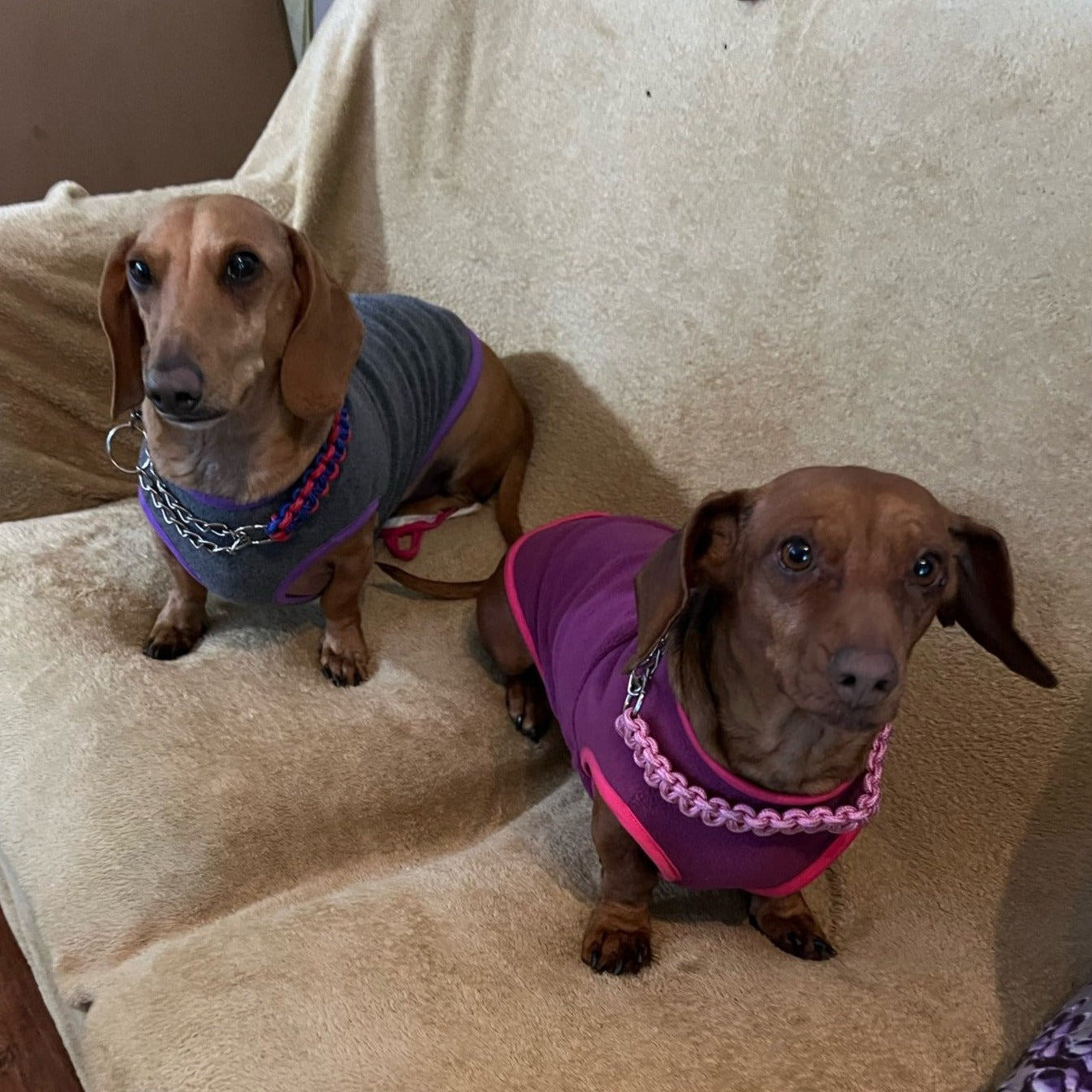 2-Color Fleece Dachshund Sweater The Doxie World