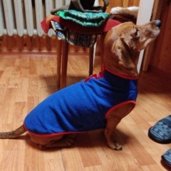 Dachshund fleece sweater fashion