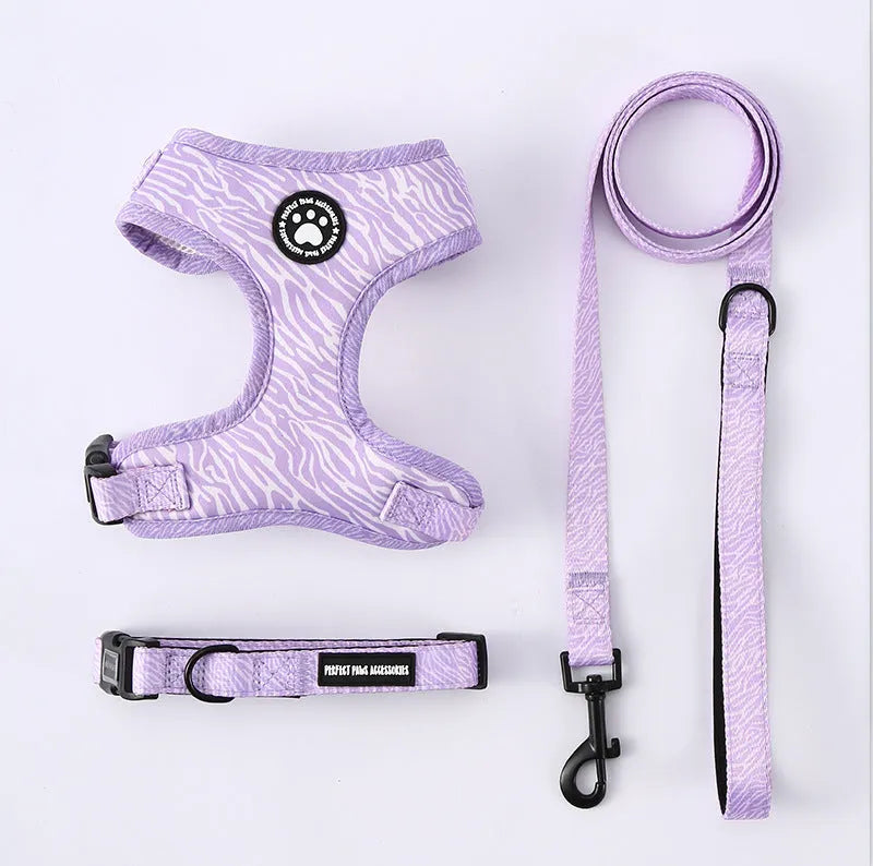 Dachshund Harness Set