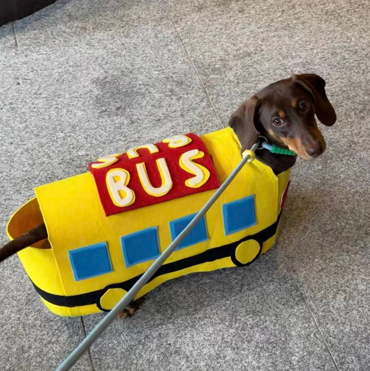 Dachshund Dog Bus Costume