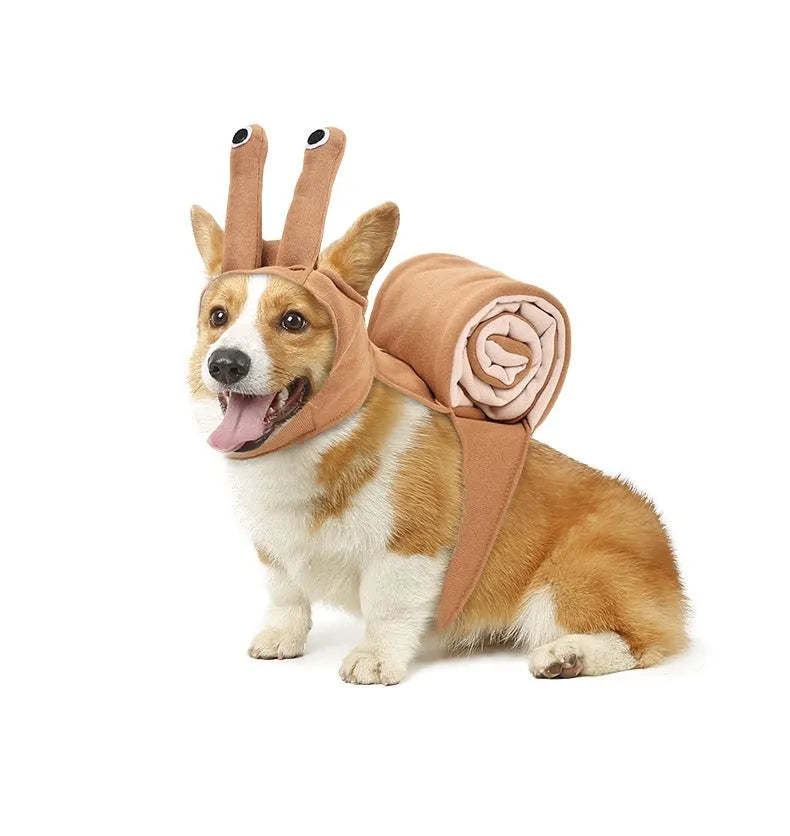 Dog Snail Halloween Costume
