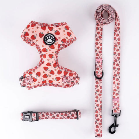 Dachshund Harness Set