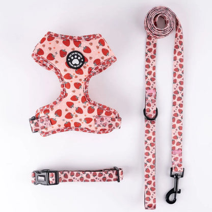 Dachshund Harness Set